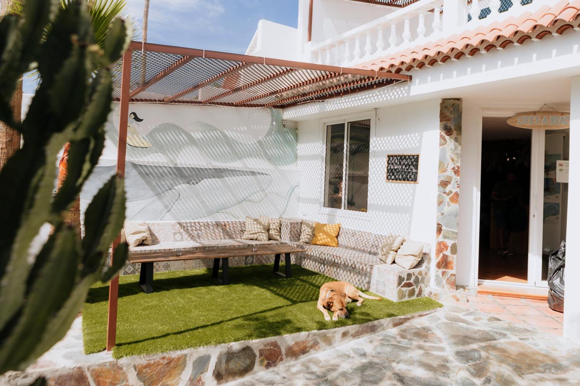 Endless Summer Hostel (Adults Only) Costa Adeje  Esterno foto